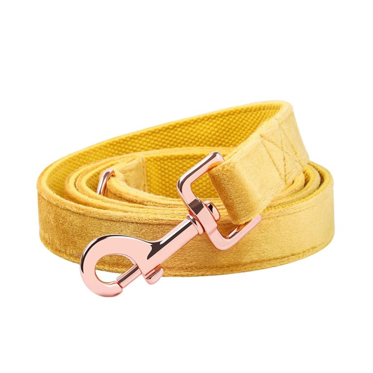 Paws Velvet Dog Cat Collar Yellow 4 Paws Velvet Dog Cat Collar Yellow 4