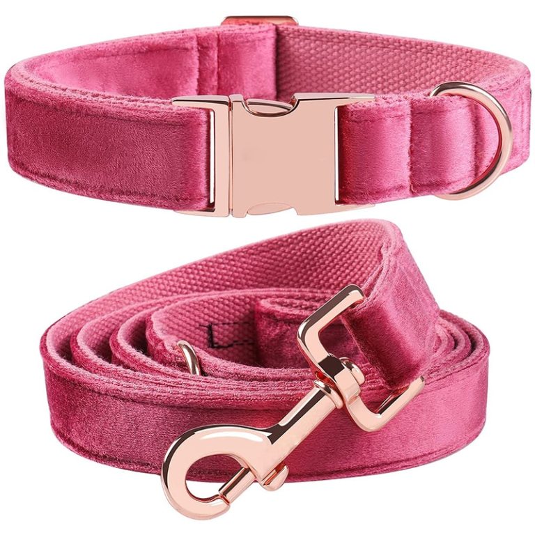 Velvet Pet Collar Hot Pink Leash Set
