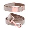 collar-and-leash