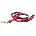 leash