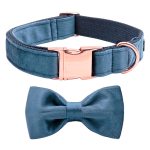 collar-and-bow