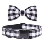 collar-and-bow