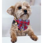 Paws Cotton Dog Collar with Sailor Bow Red and Blue Plaid 5