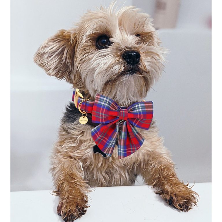 Paws Cotton Dog Collar with Sailor Bow Red and Blue Plaid 5