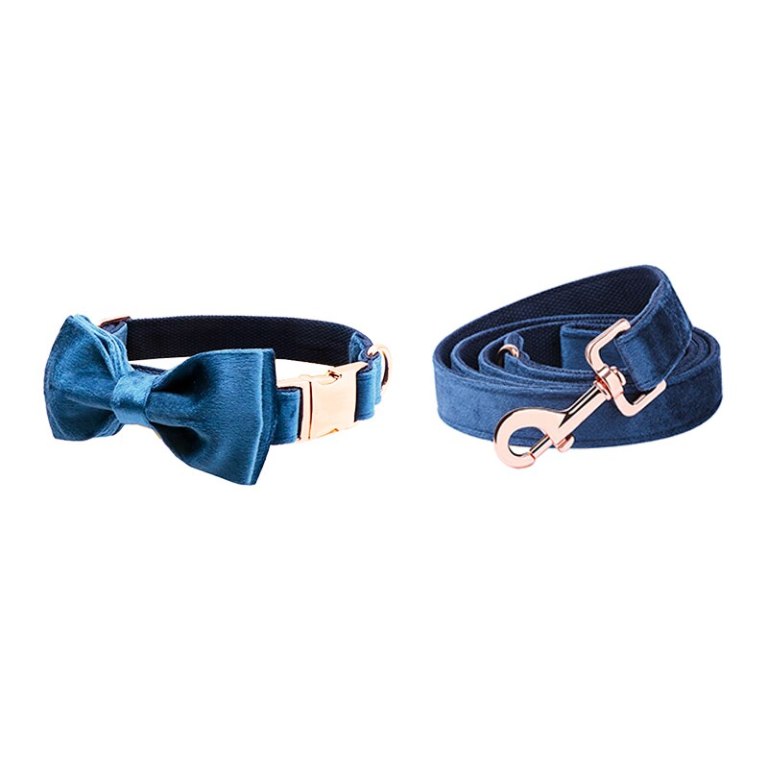 Paws Deep Blue Velvet Soft Collar with Bow tie and Leash 4