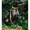 Paws Velvet Dog Cat Collar Yellow 5