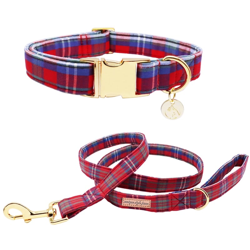 collar leash