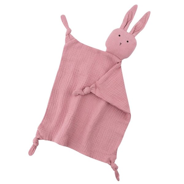 Baby Soothing Bib & Dummy Bunny