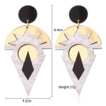FishSheep Gold Color Geometric Acrylic Dangle Drop Earrings Rock Punk Resin Big Irregular Earrings For Women Jewelry Accessories 2