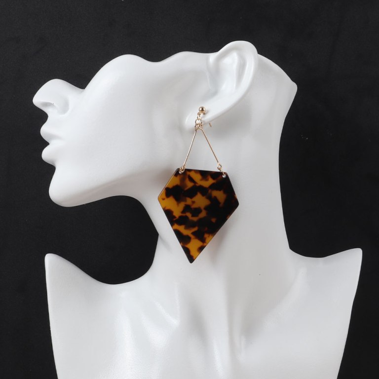 FishSheep Trendy Leopard Geometric Acrylic Drop Earrings For Women Vintage Big Irregular Long Dangle Earring Fashion Jewelry 6