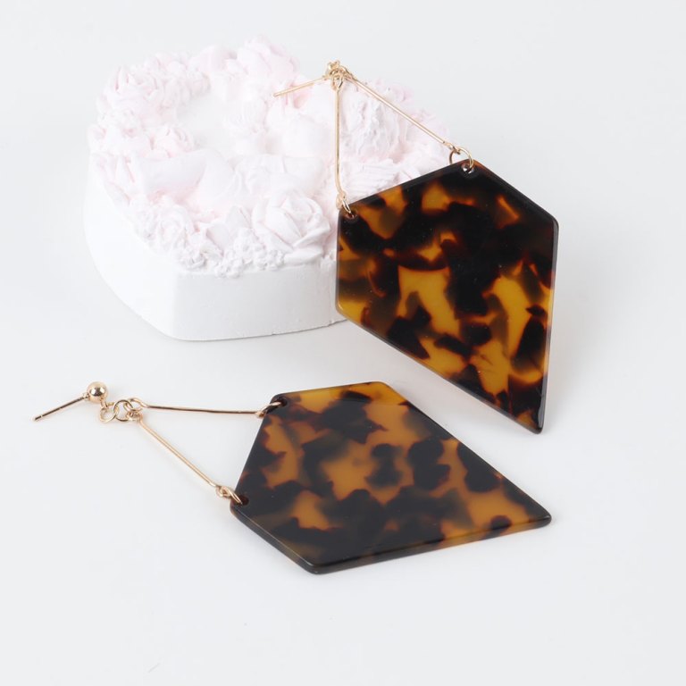 FishSheep Trendy Leopard Geometric Acrylic Drop Earrings For Women Vintage Big Irregular Long Dangle Earring Fashion Jewelry 3