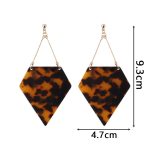 FishSheep Trendy Leopard Geometric Acrylic Drop Earrings For Women Vintage Big Irregular Long Dangle Earring Fashion Jewelry 2