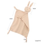 Baby Soothing Bib & Dummy Bunny