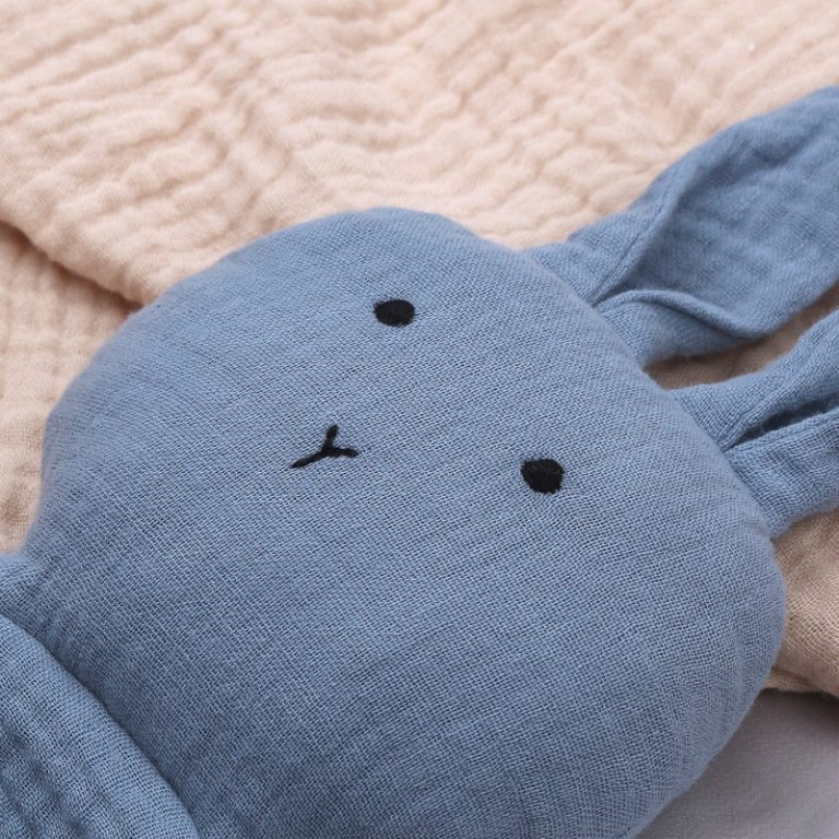 Baby Soothing Bib & Dummy Bunny