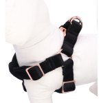 Black Velvet Pet Harness Leash Set Black Velvet Pet Harness Leash Set