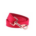 leash