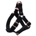 harness-only