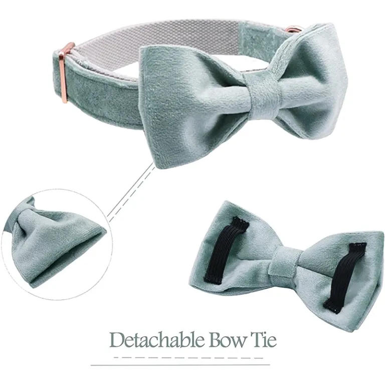 Blue Velvet Adjustable Pet Collars and Leash Rose Gold Buckle Blue Velvet Adjustable Pet Collars and Leash Rose Gold Buckle