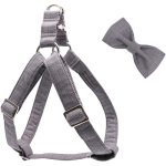 harness-with-flower