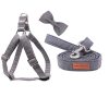 harness-leash-bowtie