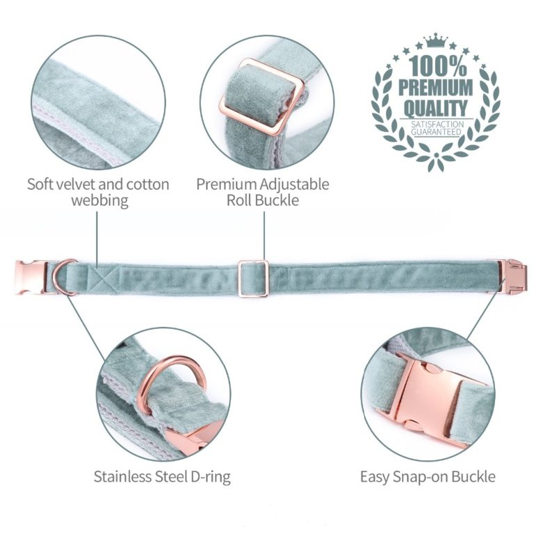 Blue Velvet Adjustable Pet Collars and Leash Rose Gold Buckle Blue Velvet Adjustable Pet Collars and Leash Rose Gold Buckle