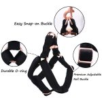 Black Velvet Pet Harness Leash Set Black Velvet Pet Harness Leash Set