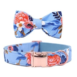 Floral Pet Collar and Leash Set