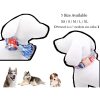 Floral Pet Collar and Leash Set