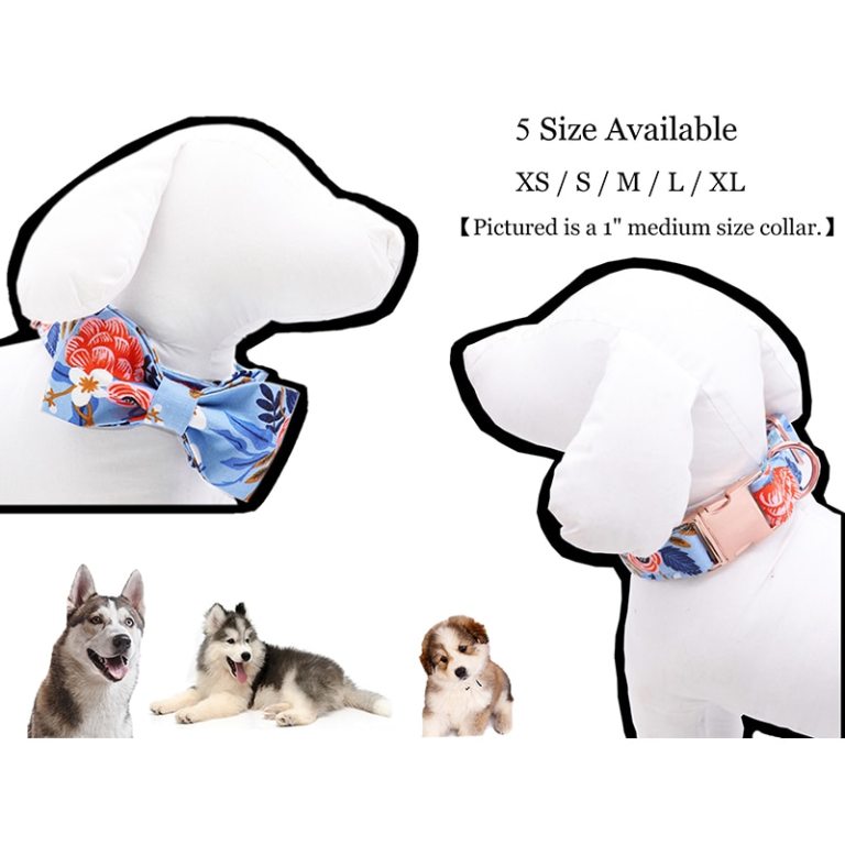 Floral Pet Collar and Leash Set