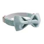 collar-and-bow