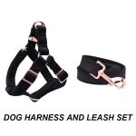harness-leash