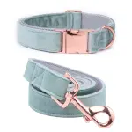 collar-and-leash