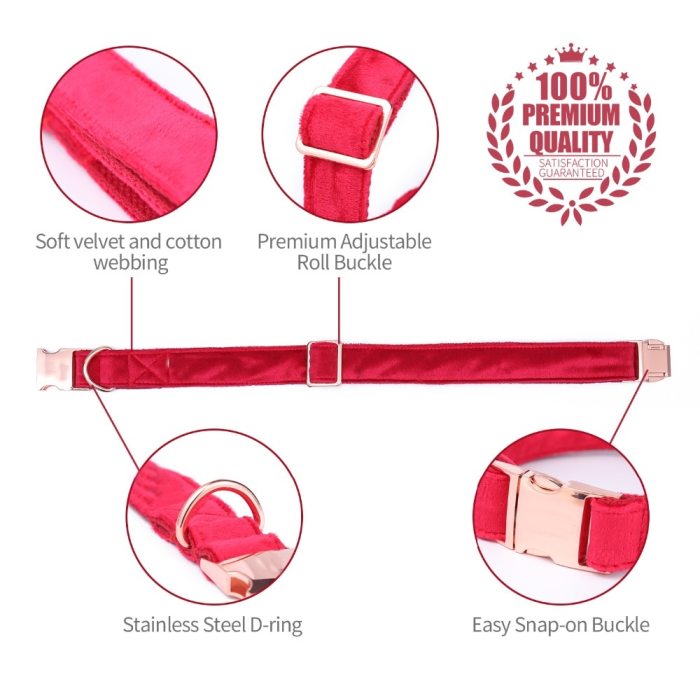 Red Velvet Pet Collar and Leash Set