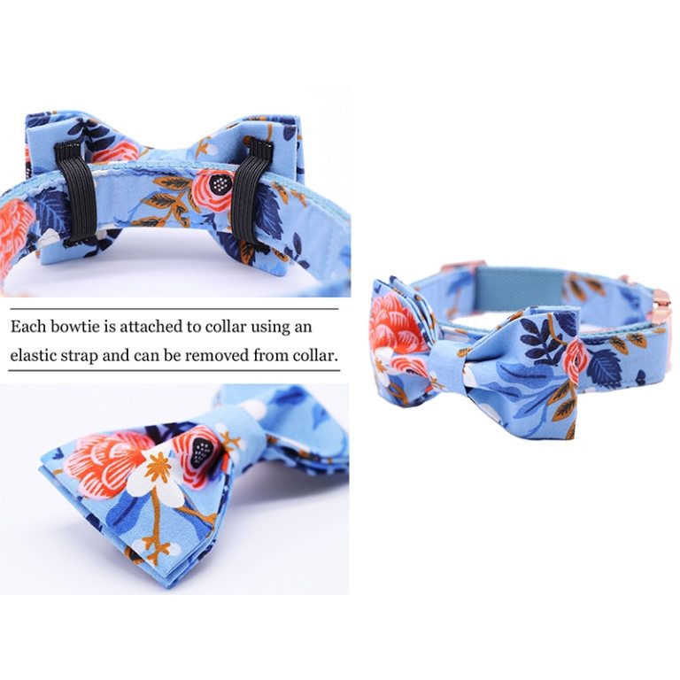 Floral Pet Collar and Leash Set