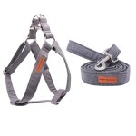 harness-and-leash
