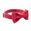 collar-and-bow