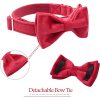 Red Velvet Pet Collar and Leash Set