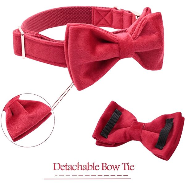 Red Velvet Pet Collar and Leash Set Red Velvet Pet Collar and Leash Set