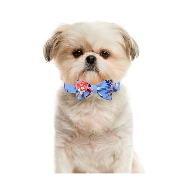 Floral Pet Collar and Leash Set