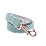 leash