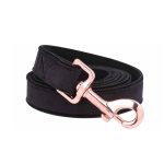 leash