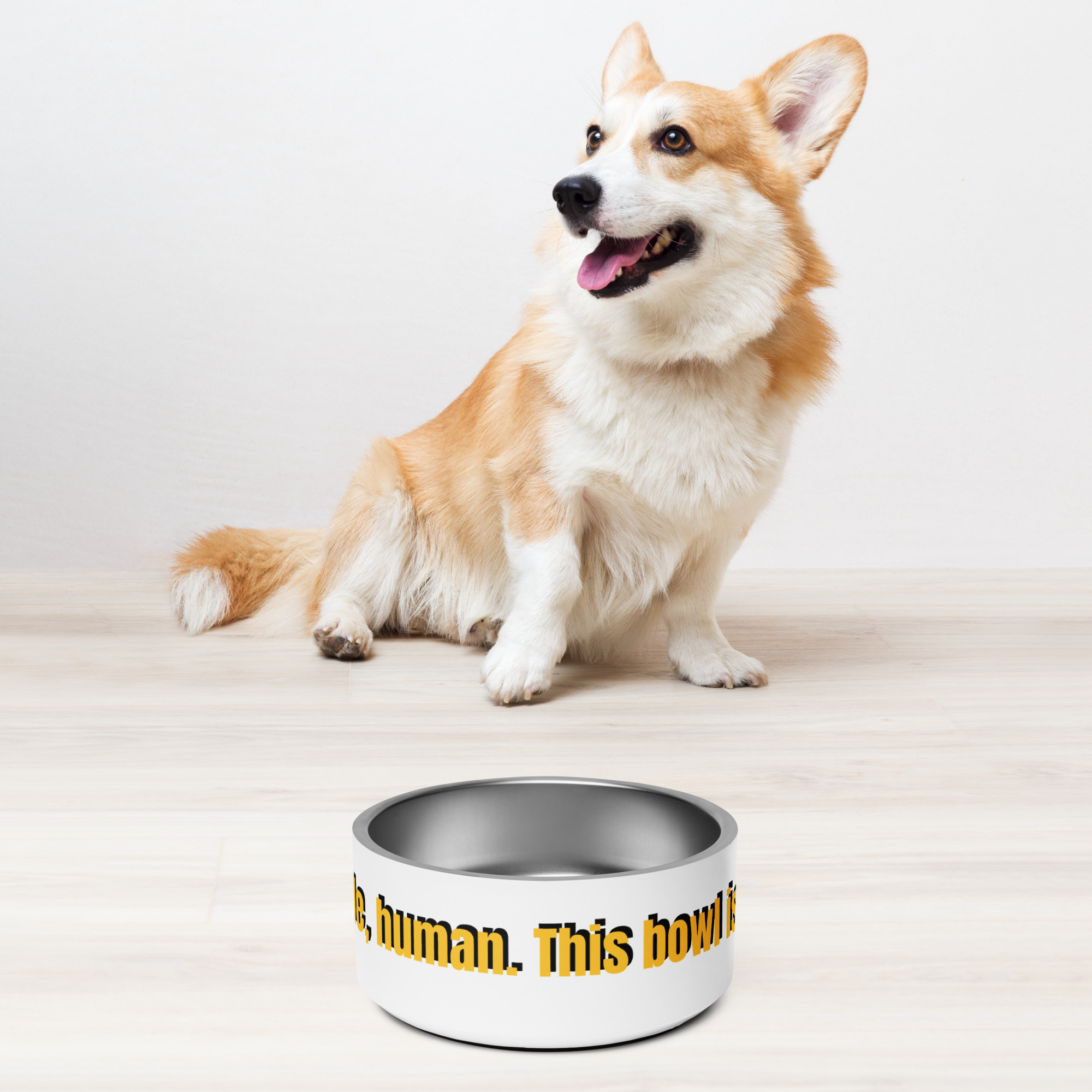 Pet bowl Step aside, human. This bowl is all mine!