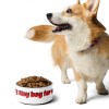 Pet bowl Warning: May beg for seconds Pet bowl Warning: May beg for seconds