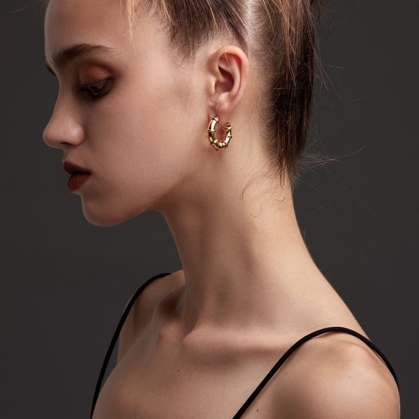 Women’s Punk Doughnut Hoop Earrings Women’s Punk Doughnut Hoop Earrings