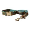dog-collar-leash-set