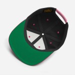 Father’s Day Dad Swag No Brag Snap Back Hat
