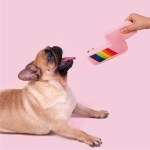 Pink Rainbow Lightning Bolt Dog Toy