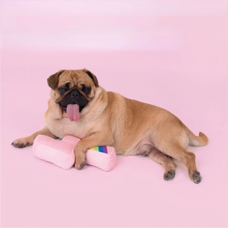 Pink Rainbow Lightning Bolt Dog Toy