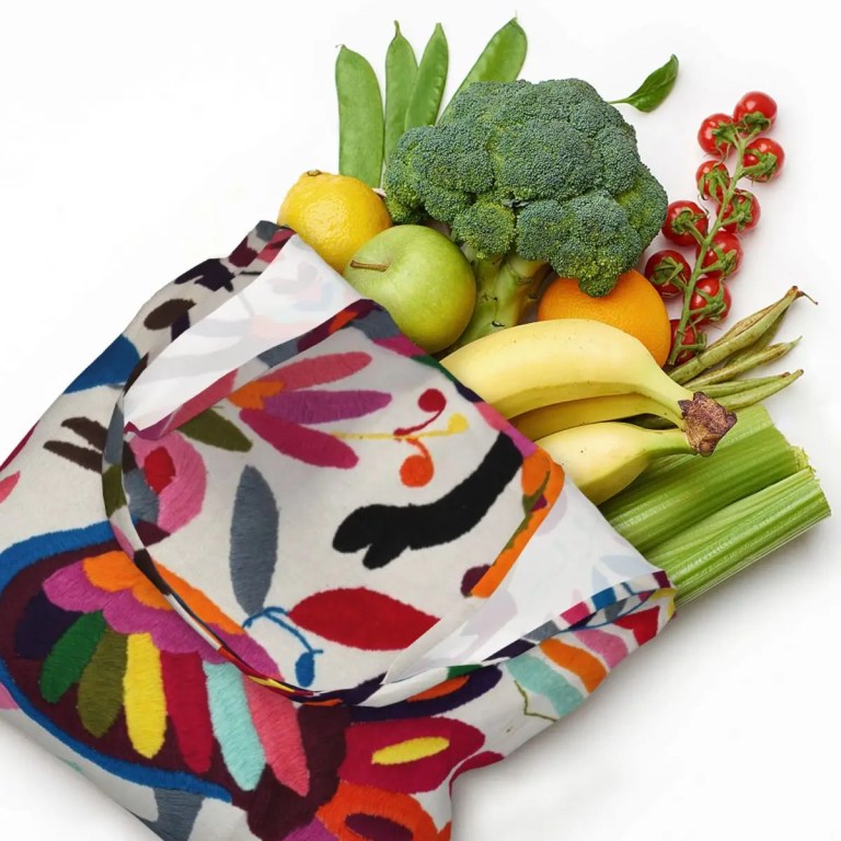 Mexican Otomi Embroidered Tote Bag Mexican Otomi Embroidered Tote Bag