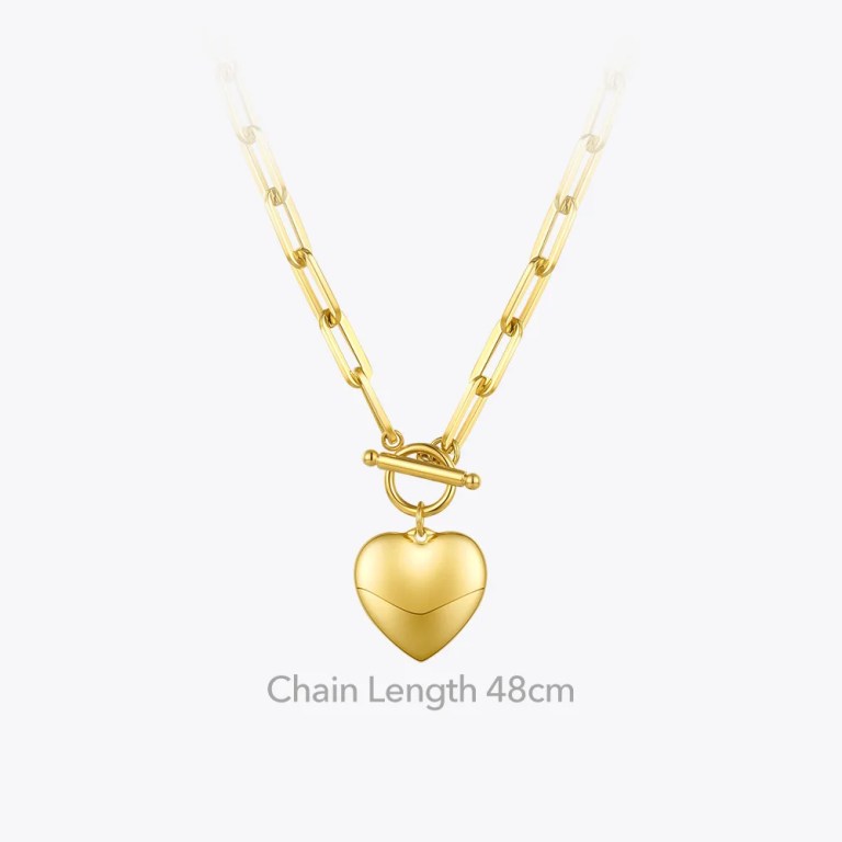 Heart Pendant Necklaces in Gold or Stainless-Steel Choker Necklace